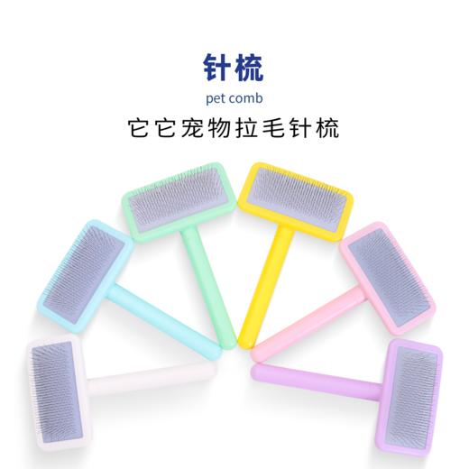 TAA它它宠物专美容去浮毛开结精灵针梳 商品图3