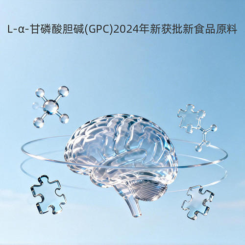 海陪家 L-α-甘磷酸胆碱（GPC）凝胶糖果 60粒/盒 卫健委批准新食品原料 口味甘甜好吞服 方便携带小巧胶囊 商品图3