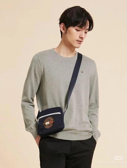 二店y 官网1500+ 经典款 TOMMY//汤米 男士圆领套头针织衫毛衣 商品图10