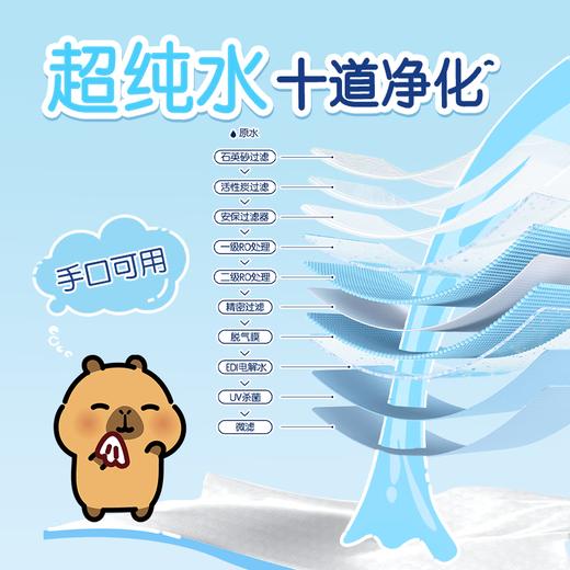 【清风X卡皮巴拉联名】清风0敏EDI纯水湿巾 60片5包 商品图3