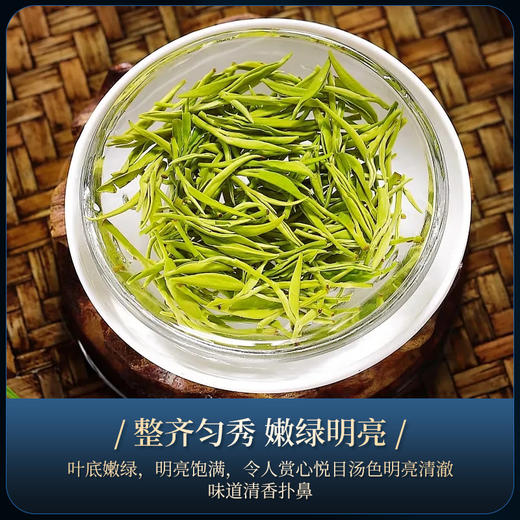 茶马世家 江山如画 特级信阳毛尖 年货节送礼200g 商品图8