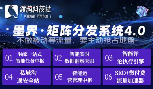 素人SEO种草矩阵+关键词优化 商品图0