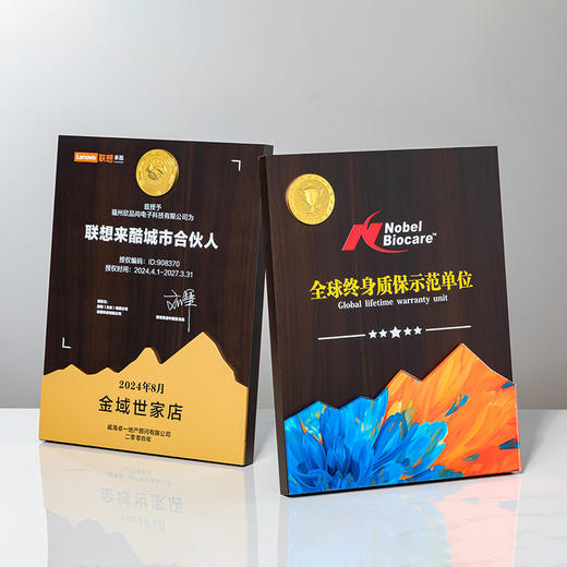 木质奖牌定制企业荣誉证书奖杯商务表彰金属奖章订制商会员大奖牌 商品图4