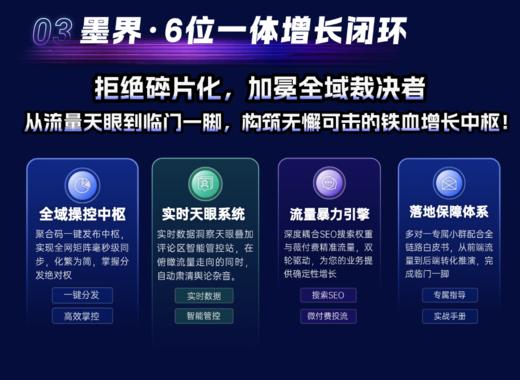 【墨界】素人矩阵分发系统-月卡（适合有分发经营经验的流量玩家） 商品图5