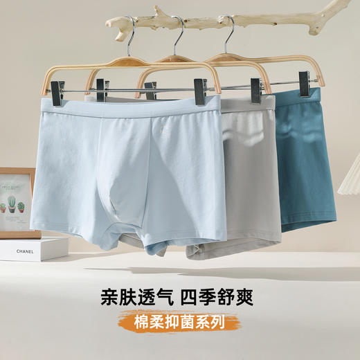 【3条装】雅黛俪男士平角内裤高弹舒适透气10A抑菌含商蚕丝裆底四角裤头 商品图2