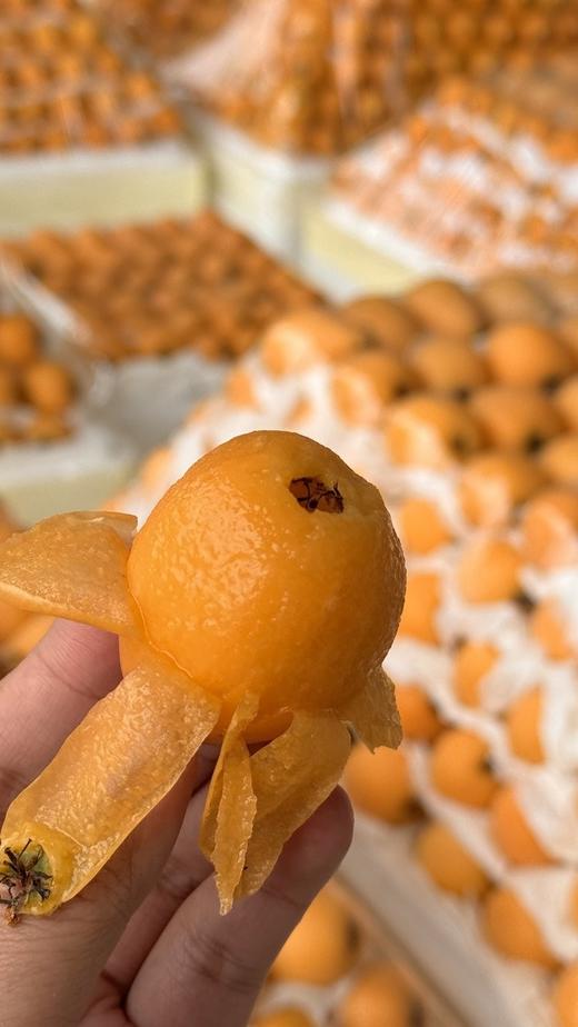 《蒙自甜枇杷》  商品图2