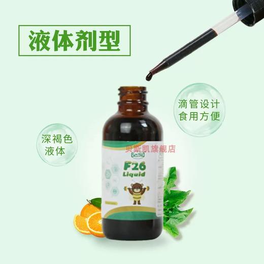 贝斯凯F26饮液（铁） 商品图3