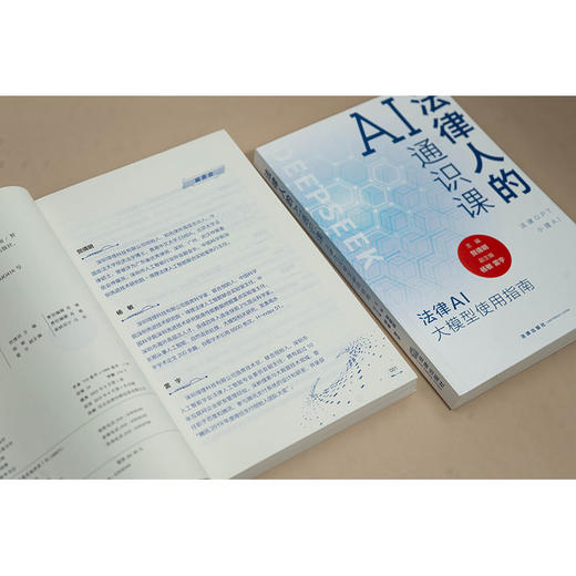 法律人的AI通识课：法律AI大模型使用指南 贺倩明主编 杨敏 雷宇副主编 法律出版社 商品图4