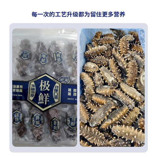 自营（海中源）- 渤海湾海域底播即食海参 礼盒装送礼佳品 高品质 无添加 商品图1