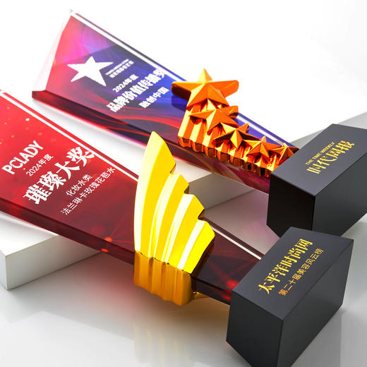 水晶奖杯定制创意翅膀造型企业颁奖奖牌表彰奖品琉璃树脂高档奖杯 商品图5