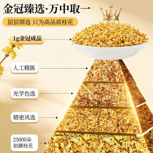草木方冻干桂花40g 【金冠级】头茬新花桂林原产鲜桂花干泡酒花草养生茶 商品图4