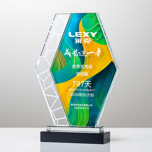 水晶奖杯创意定制定做员工公司年会活动比赛订制儿童荣誉刻字奖牌 商品图5