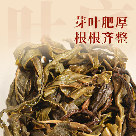 问山丨初囍-2025 普洱生茶 生普 357g 茶饼 商品图3