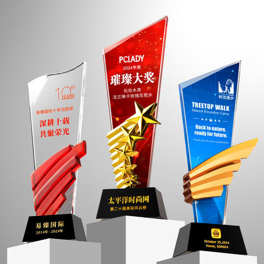 水晶奖杯定制创意翅膀造型企业颁奖奖牌表彰奖品琉璃树脂高档奖杯 商品图8