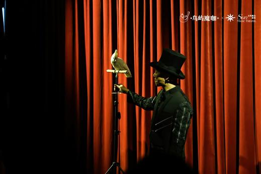 【杭州】太阳魔法剧场沉浸式魔术剧《鹦你而生》一魔术师王晨 商品图2