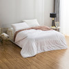 罗莱 舒爽蚕丝春秋被 商品缩略图1