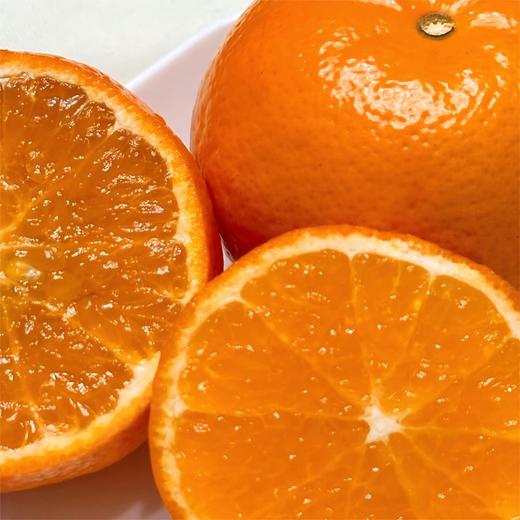 沃柑礼盒65果8斤装 商品图5