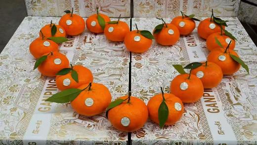 周四取货：【匠心级甘平礼盒】一盒8个左右，果肉丰满，果皮薄，细嫩化渣。 商品图6