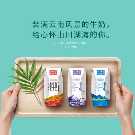 新希望雪兰云南风景纯牛奶200g/盒*10 商品图3