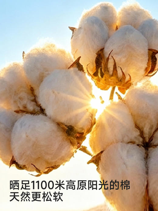 英氏童装儿童长裤男童裤子春秋休闲裤针织裤百搭新款YRKCJ1S047A 商品图3