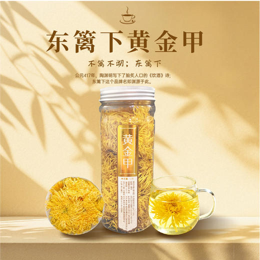 【特惠36.9】东篱下黄金甲12g【保质期至2026/7/11
】-专享价 商品图0