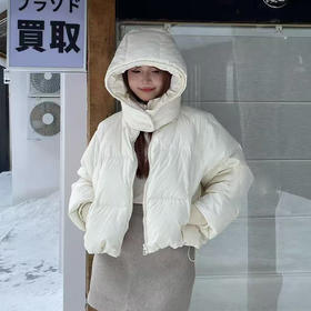 简约基本款立领带帽羽绒服-纪念日百货门店同款168393194