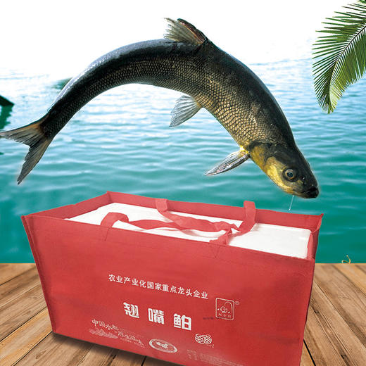 【十堰主城区包邮】好余轩翘嘴鱼速冻锁鲜冻翘嘴鲌 （每条600g~700g左右）3条/5条 商品图5