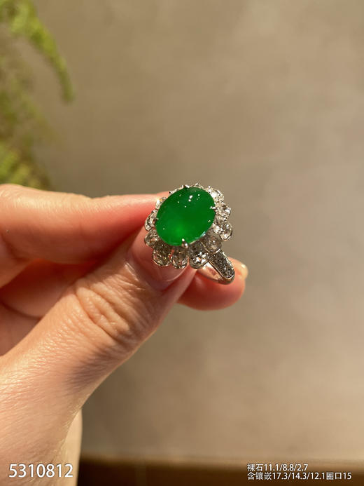 5310812，蛋面戒指。具体价格微信咨询 商品图2