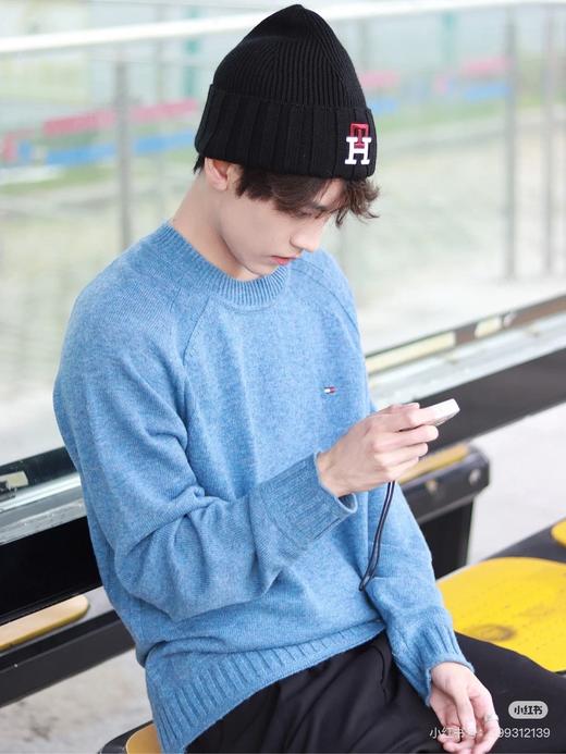 二店y 官网1500+ 经典款 TOMMY//汤米 男士圆领套头针织衫毛衣 商品图11