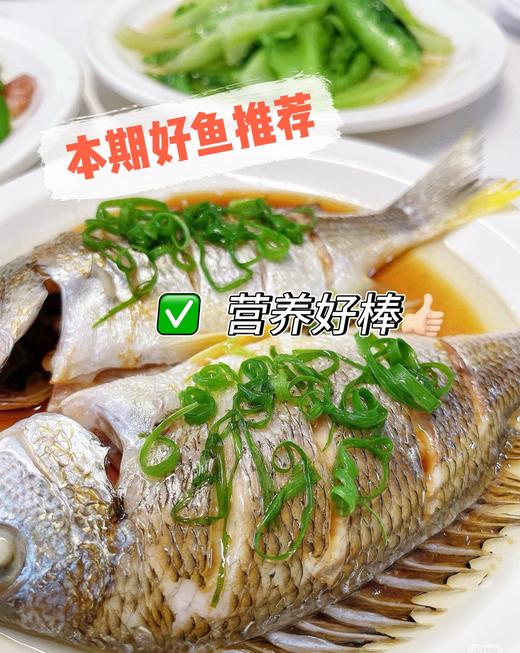 海钓黄翅鱼🐠 坐月子首选鱼、小朋友辅食鱼、老人全家的营养鱼‼肉感细腻营养好  【新鲜活冻】 商品图0