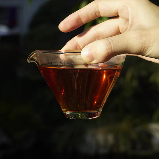 新品// 冲天奇兰 武夷山岩茶 香高锐利 商品图6