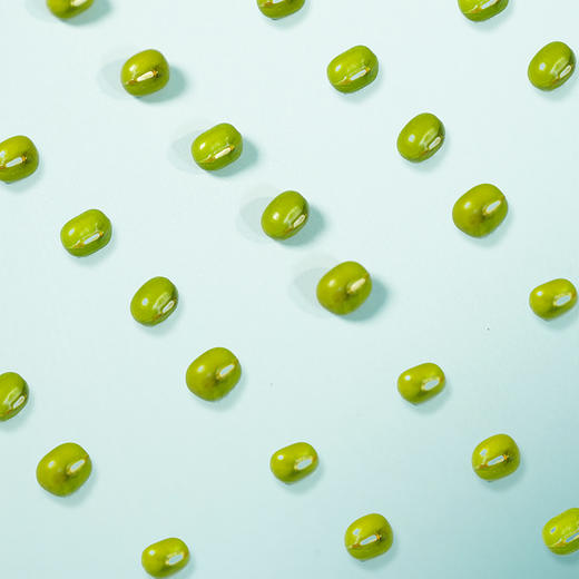 【新品】溢田有机绿豆980g 商品图3