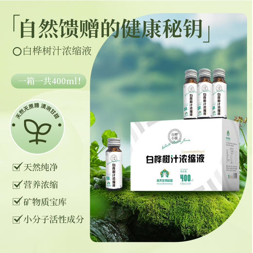 白桦小镇浓缩白桦树汁|天然森林矿泉水，浓缩后营养更集中【清明期间正常发货】 商品图1