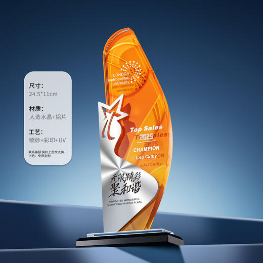 高档水晶奖杯金属CD纹创意企业年会优秀员工银行保险嘉奖纪念奖杯 商品图6