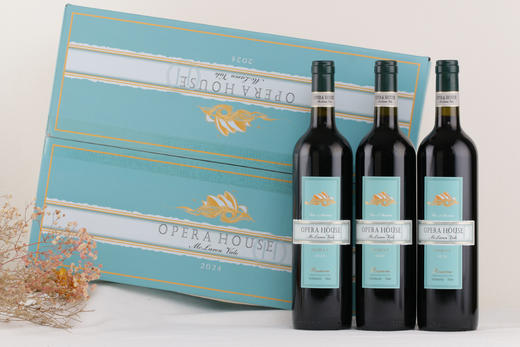 澳大利亚麦克拉伦谷西拉干红葡萄酒15.6%vol 商品图4