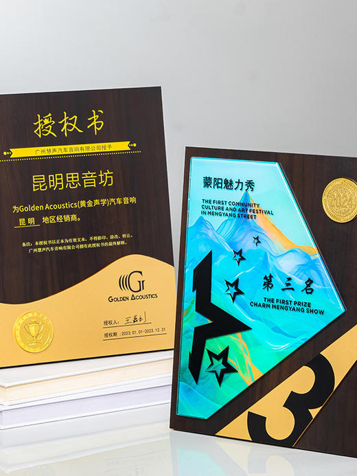 木质奖牌定制企业荣誉证书奖杯商务表彰金属奖章订制商会员大奖牌 商品图10