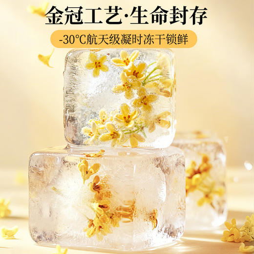 草木方冻干桂花40g 【金冠级】头茬新花桂林原产鲜桂花干泡酒花草养生茶 商品图3