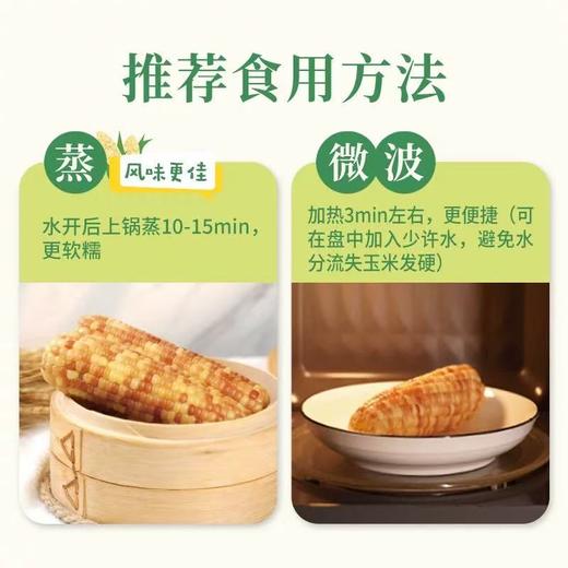 北纬21°优生带🌽【⁮正宗西双版纳勐海小花玉米】⁦  三分香甜，七分软糯，越嚼越香！零添加，无防腐剂，非转基因，生长过程无人工干预 商品图4