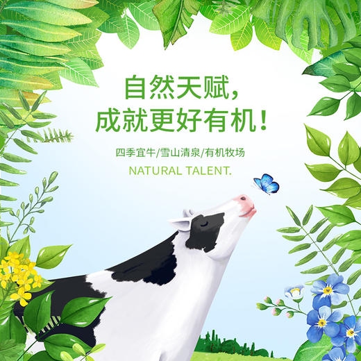 新希望雪兰花怒FUN彩云南高原牧场3.3g蛋白质纯牛奶200g/盒*12 商品图2