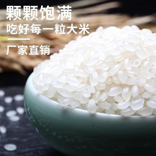 【YC】如意道  东北珍珠米  25kg 商品图1