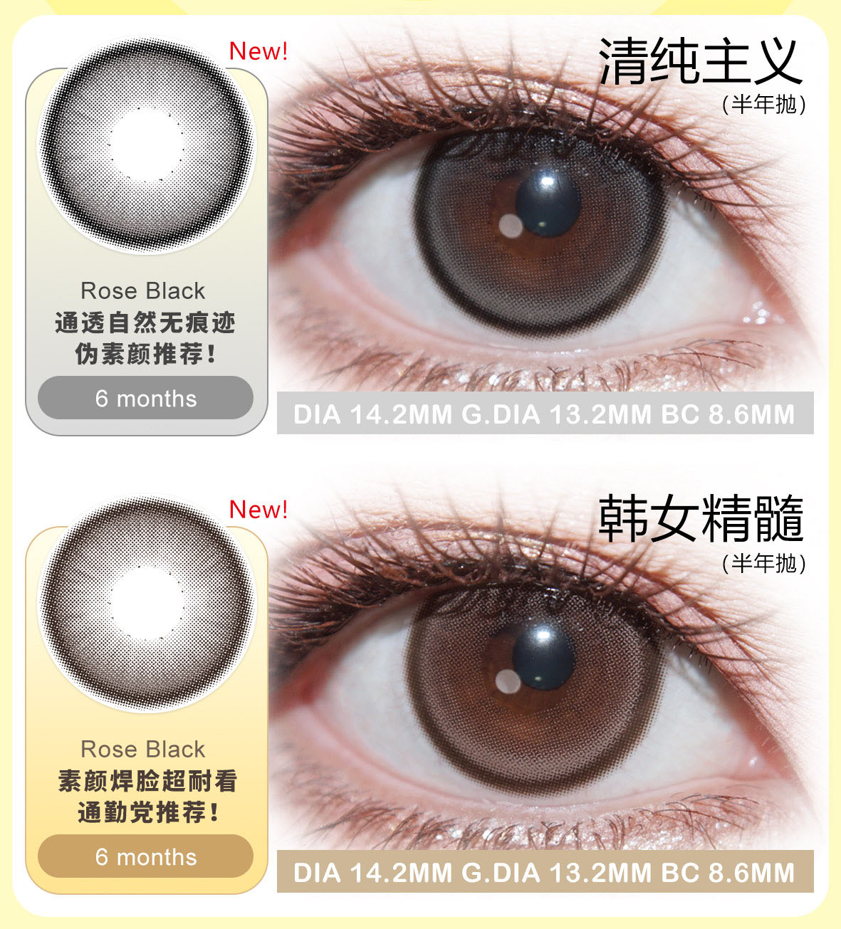 favorr beauty 清纯主义/韩女精髓 14.2mm  半年抛 含硅水凝胶 棕黑