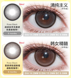 favorr beauty 清纯主义/韩女精髓 14.2mm  半年抛 含硅水凝胶 棕黑