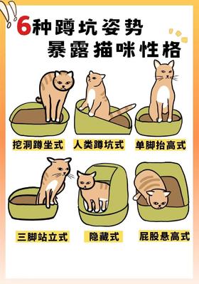 你家猫上厕所的姿势！就能暴露它的性格！