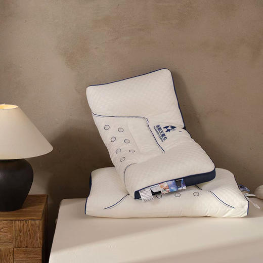 戈吉斯 疏通经络云朵舒适全棉远红外磁疗枕头 商品图4