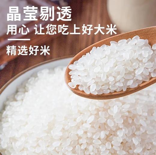 【YC】如意道  东北珍珠米  25kg 商品图2