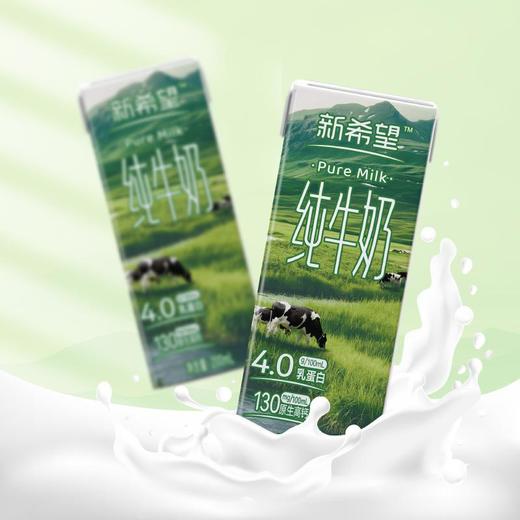 新希望4.0g蛋白质原生高钙纯牛奶200ml/盒*10 商品图2