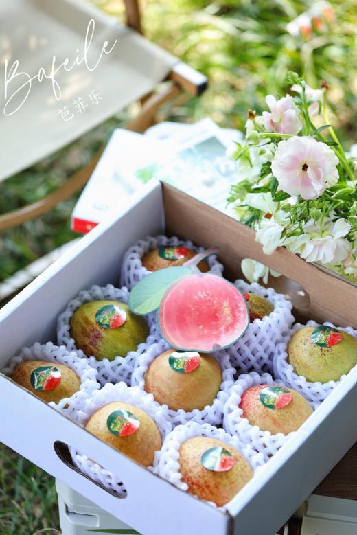 奶油红心芭乐  4斤礼盒装 商品图1