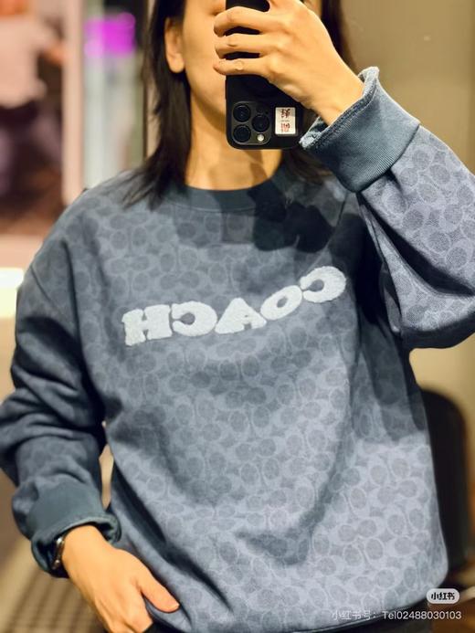 Ch女款圆领老花毛毡刺绣小标卫衣 商品图1