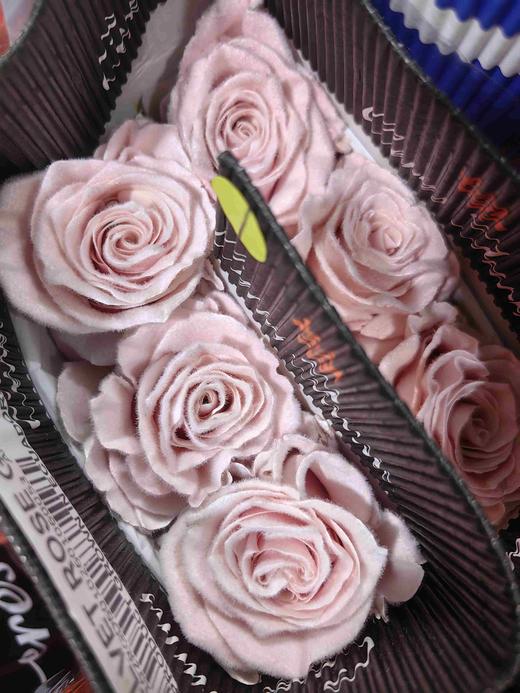 厄瓜多尔进口染色玫瑰花velvet rose gold粉色天鹅绒10支 商品图2