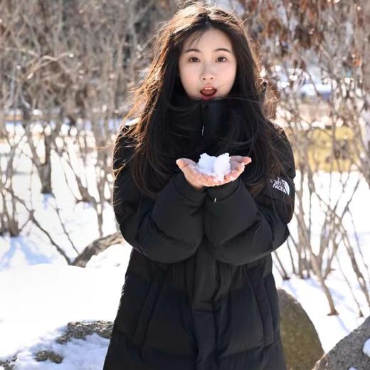 【授权齐全 奥莱仓发货 大朵鹅绒 防泼防风 保暖有型】The North Face 北面1996经典款羽绒服情侣短款（海外版本，生产地也是海外，授权和品质没问题，上海/福州奥莱仓发货，介意慎拍） 商品图1